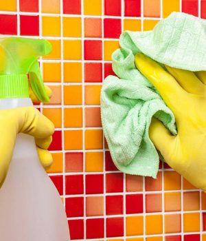 Safety Gloves